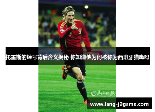 托雷斯的绰号背后含义揭秘 你知道他为何被称为西班牙猎鹰吗